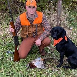 Meet your Posher, Joe